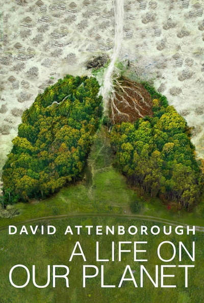 David Attenborough: A Life On Our Planet (Rating: Good)